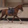 Juin 2010